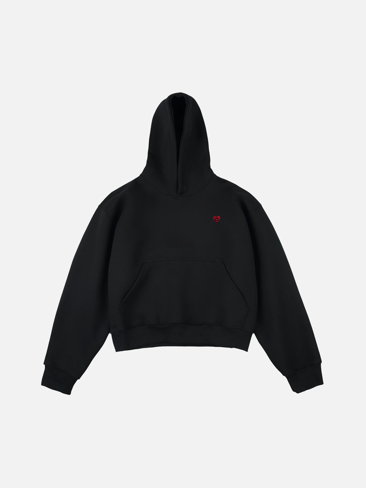 Aelfric Eden Solid Pullover Boxy Hoodie