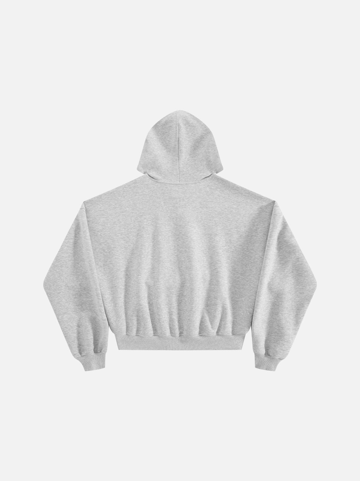 Aelfric Eden Boxy Dachshund Graphic Pullover Hoodie